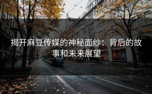 揭开麻豆传媒的神秘面纱：背后的故事和未来展望