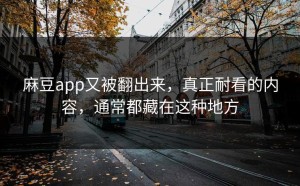 麻豆app又被翻出来，真正耐看的内容，通常都藏在这种地方