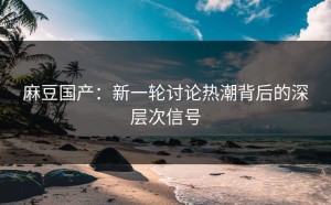 麻豆国产：新一轮讨论热潮背后的深层次信号