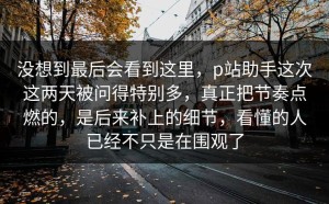 没想到最后会看到这里，p站助手这次这两天被问得特别多，真正把节奏点燃的，是后来补上的细节，看懂的人已经不只是在围观了