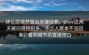 评论区突然冒出关键线索，pixiv这两天被问得特别多，不少人原本不当回事，看到细节后直接改口