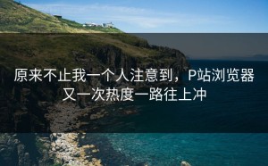 原来不止我一个人注意到，P站浏览器又一次热度一路往上冲