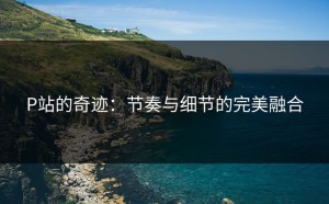 P站的奇迹：节奏与细节的完美融合