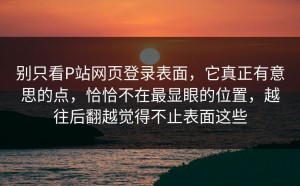 别只看P站网页登录表面，它真正有意思的点，恰恰不在最显眼的位置，越往后翻越觉得不止表面这些