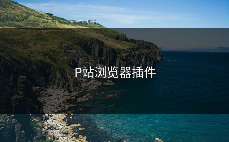 P站浏览器插件 P站浏览器插件