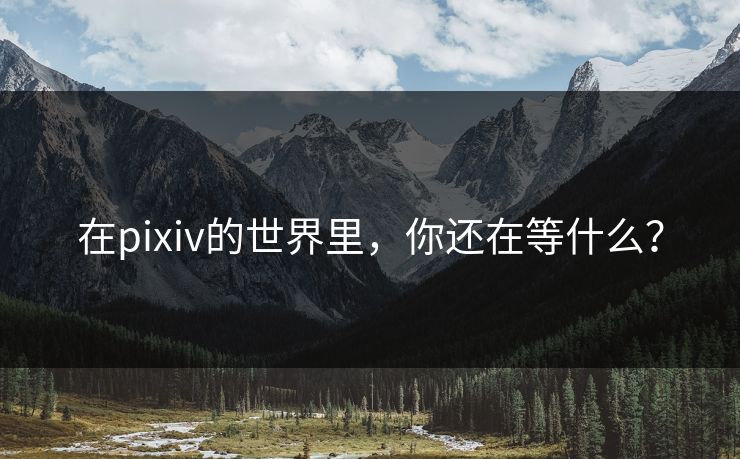 在pixiv的世界里,你还在等什么? 在pixiv的世界里,你还在等什么?