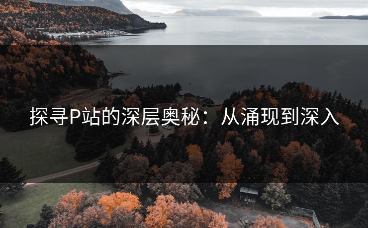 探寻P站的深层奥秘:从涌现到深入 探寻P站的深层奥秘:从涌现到深入